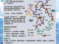 安徽黄山风景区自驾游攻略 - 安徽黄山自由行攻略