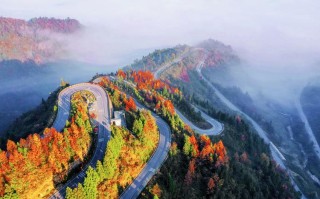 泸县天气预报40天（泸县天气预报40天查询百度）