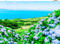 葡萄牙旅游最佳季节是什么，葡萄牙季节划分