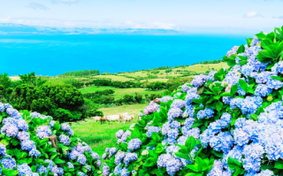 葡萄牙旅游最佳季节是什么，葡萄牙季节划分