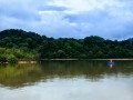 仙女湖旅游专线时刻表（仙女湖高铁旅游专线发车时间点）