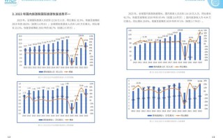 肯尼亚生态旅游发展效益（肯尼亚生态旅游业发展历程的启示）