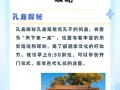 山东曲阜旅游攻略景点必去 - 曲阜三孔60岁老人门票