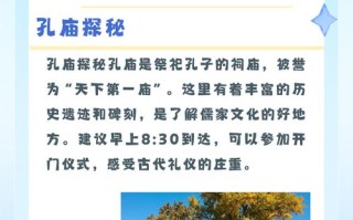 山东曲阜旅游攻略景点必去 - 曲阜三孔60岁老人门票