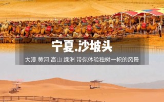 宁夏中卫沙波头（宁夏中卫沙波头一句感言）
