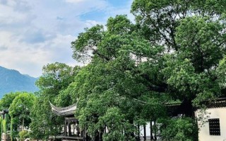2021台州人免费游神仙居 - 台州旅游神仙居