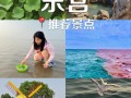 东营旅游景点有哪些景点（东营旅游必去景点）