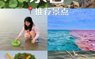 东营旅游景点有哪些景点（东营旅游必去景点）