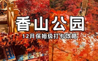 香山公园旅游景点攻略一日游（香山公园游玩攻略）