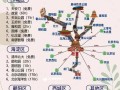 北京自助游详细攻略（北京自助游攻略路线）