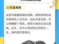 天涯海角门票是多少钱一位 - 天涯海角要门票吗?