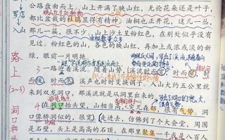 金华洞内洞的特点（金华有什么风景区叫洞的）