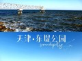 天津海边旅游攻略 - 天津海边旅游攻略路线