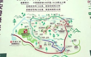 碧峰峡旅游路线攻略（碧峰峡旅游路线攻略图）