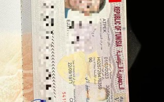 突尼斯旅游签证（突尼斯旅游签证多少钱）