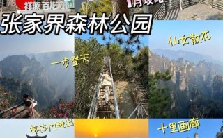 到张家界旅游网 - 张家界旅游网官方网站