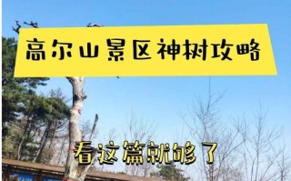 抚顺旅游景点有哪些地方抚顺高尔山4月份有花吗（抚顺高尔山开吗）