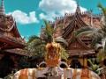 西双版纳旅游亮点，西双版纳旅游打卡