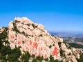 山东旅游景点必去 - 山东旅游景点必去的地方
