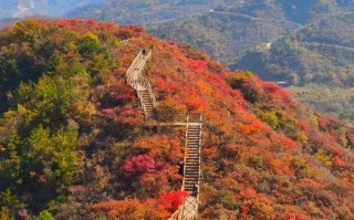 房山旅游景点大全免费路线（房山旅游景区哪里好玩）