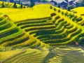 龙脊梯田旅游景点介绍，龙脊梯田怎么样值得去吗?
