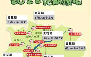 洛阳牡丹旅游线路，洛阳牡丹一日游攻略