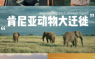 肯尼亚旅游景点攻略一日游多少钱 - 肯尼亚 旅游