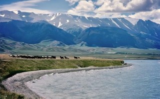 博尔塔拉旅游景区有哪些，博尔塔拉生态旅游景区