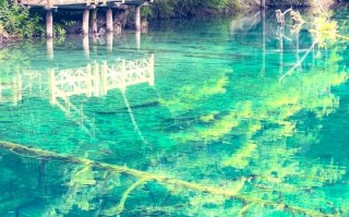 九寨沟春节开放吗，九寨沟春节免门票吗