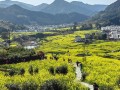 江西婺源旅游景点有哪些景区，江西婺源景区主要景点