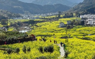 江西婺源旅游景点有哪些景区，江西婺源景区主要景点
