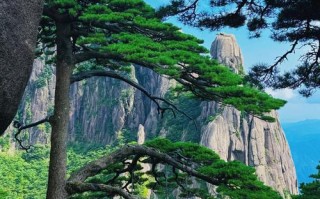 黄山附近有哪些值得玩的景点 - 黄山附近有什么好玩的景点