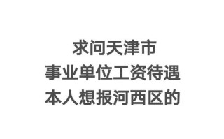 天津新闻发布会 - 天津新闻发布会 郑霞