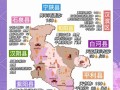 安康三日游最佳线路（安康三日游最佳线路是哪里）