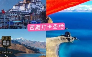羊卓雍措买票吗（羊卓雍措游玩时间）