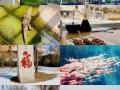 东营旅游景点有哪些地方好玩，东营旅游必去景点