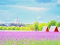 齐齐哈尔旅游景点大全排名 - 齐齐哈尔旅游景点攻略
