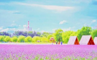 齐齐哈尔旅游景点大全排名 - 齐齐哈尔旅游景点攻略
