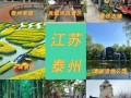 江苏泰州景点一日游攻略 - 泰州1日游