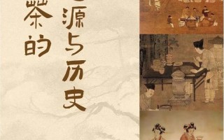 文成新闻网最新消息（文成新闻最新视频）