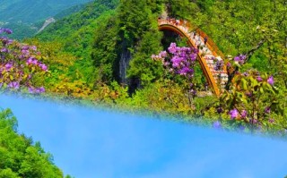 湖北神农架景区，湖北神农架景区门票费用及优惠政策