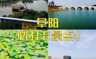 阜阳旅游景点攻略自驾游 - 阜阳旅游景点大全排名 一日游
