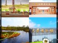 大庆旅游景点都有哪些（大庆旅游景点有哪些 龙凤湿地）