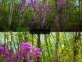 怀柔喇叭沟门景区 - 怀柔喇叭沟门景区介绍