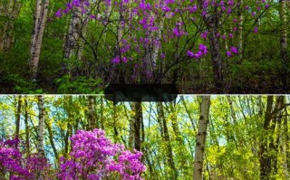 怀柔喇叭沟门景区 - 怀柔喇叭沟门景区介绍