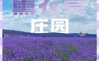 大连的旅游景点都有哪些地方名称大全（大连著名的旅游景点有哪些）