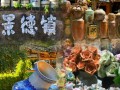 景德镇旅游景区排名，景德镇景点景区