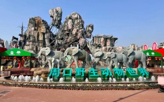 河南旅游年卡2024景点明细 - 河南旅游年卡2024景点明细列表