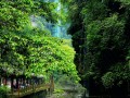 碧峰峡旅游景区内部优势，碧峰峡有哪些好玩的