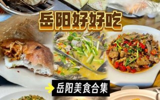 岳阳好吃的特产（岳阳特色食物）